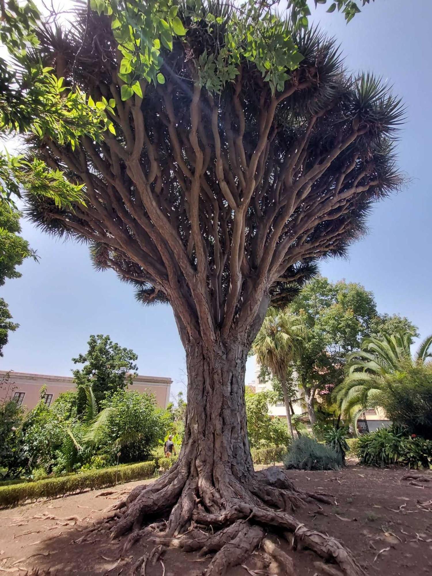 Appartamento Con 1 Camera Da Letto Con Vista Ov223 Costa Adeje  Esterno foto